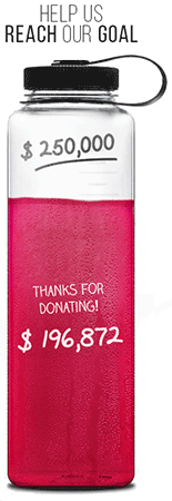 Walk With Love Fundraising Progress Bottle