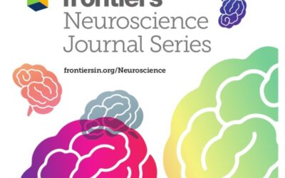 Predicting long-term cognitive outcome following breast cancer with pre-treatment resting state fMRI and random forest machine learning.