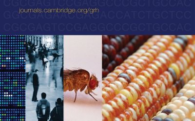 Differential analysis of mutations in the Jewish population and their implications for diseases.