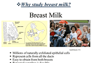 Using Breast Milk to Understand Breast Cancer Risk